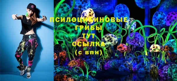 молекула духа Лабытнанги