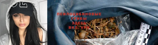 прущая мука Ладушкин