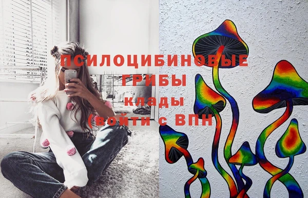 прущая мука Ладушкин