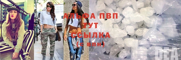молекула духа Лабытнанги