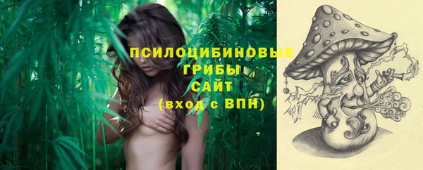 прущая мука Ладушкин