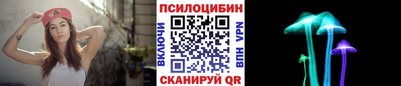 Галлюциногенные грибы Psilocybe  Волжский 