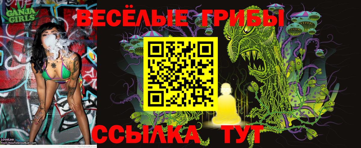 Галлюциногенные грибы мицелий Волжский