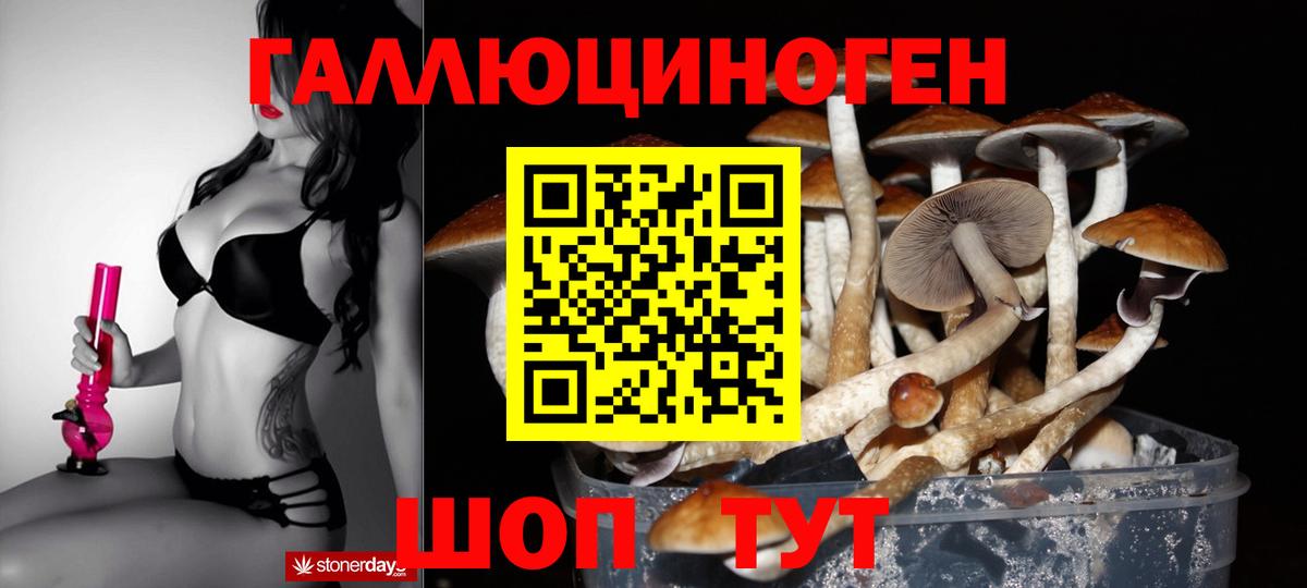 Галлюциногенные грибы мицелий Волжский